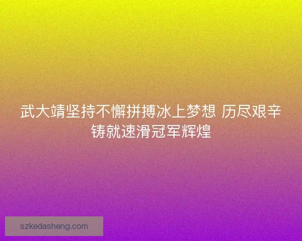 武大靖坚持不懈拼搏冰上梦想 历尽艰辛铸就速滑冠军辉煌